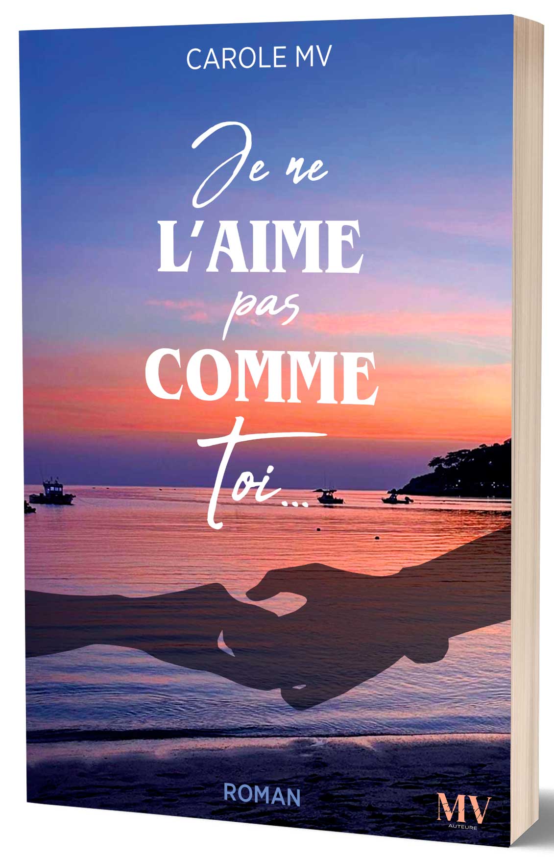 Couverture Je ne L'AIME pas COMME toi